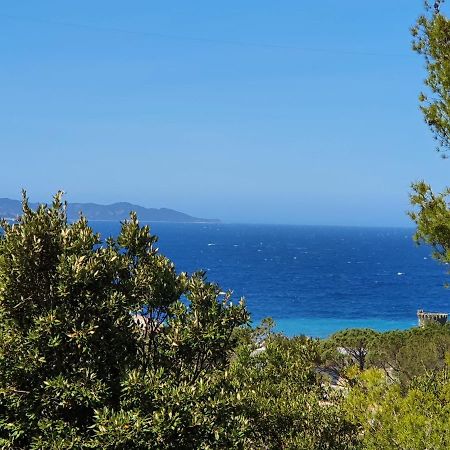 Les Gites Du Cap Corse Nonza Ngoại thất bức ảnh