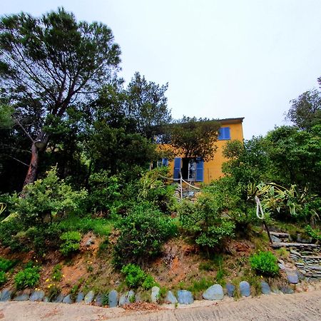 Les Gites Du Cap Corse Nonza Ngoại thất bức ảnh