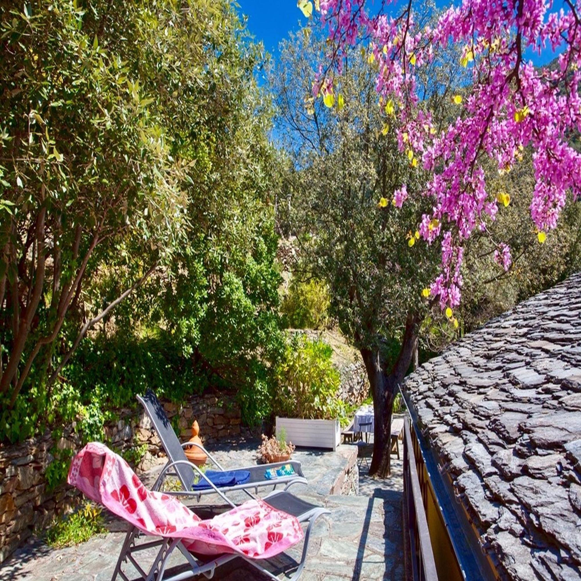 Les Gites Du Cap Corse Nonza Ngoại thất bức ảnh