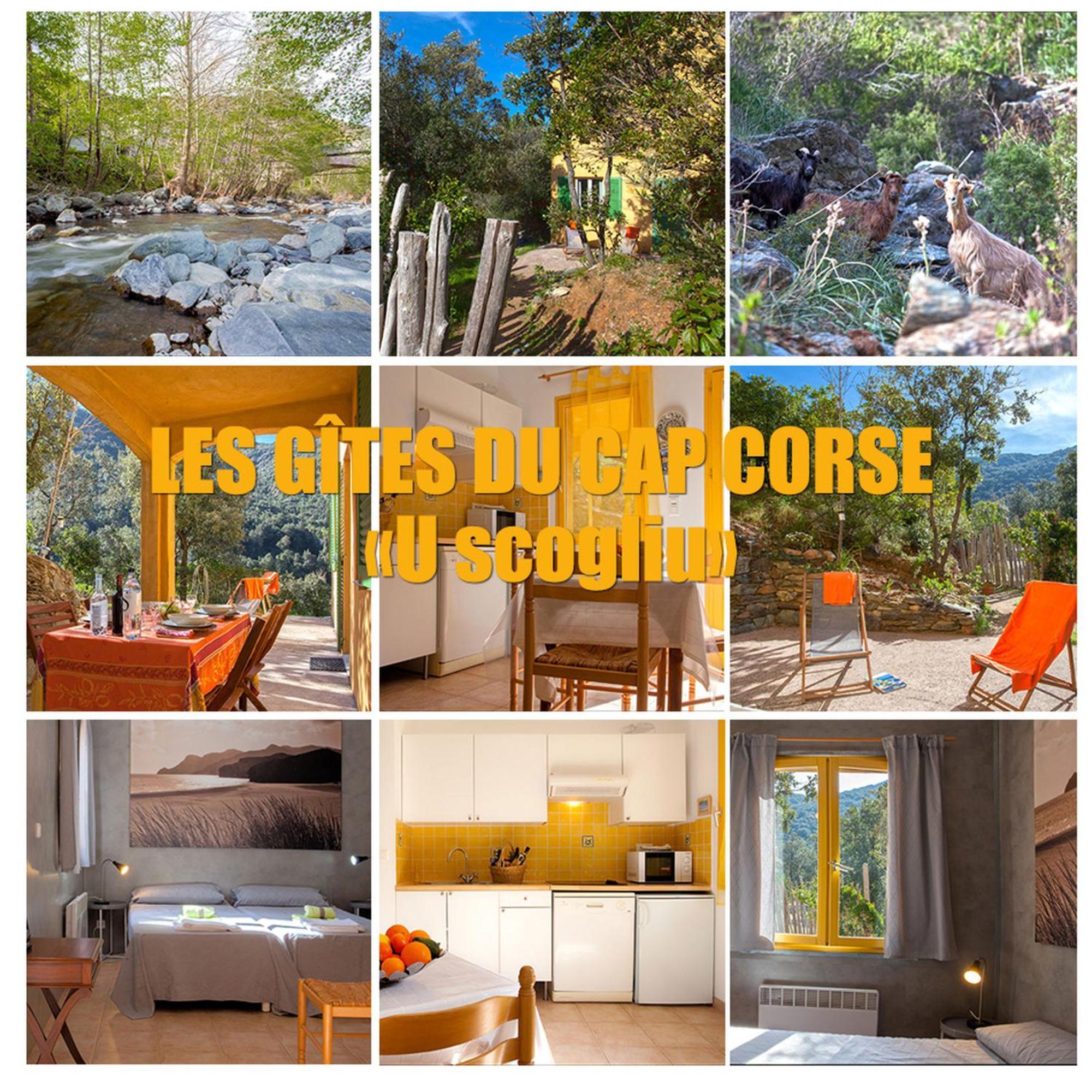 Les Gites Du Cap Corse Nonza Ngoại thất bức ảnh