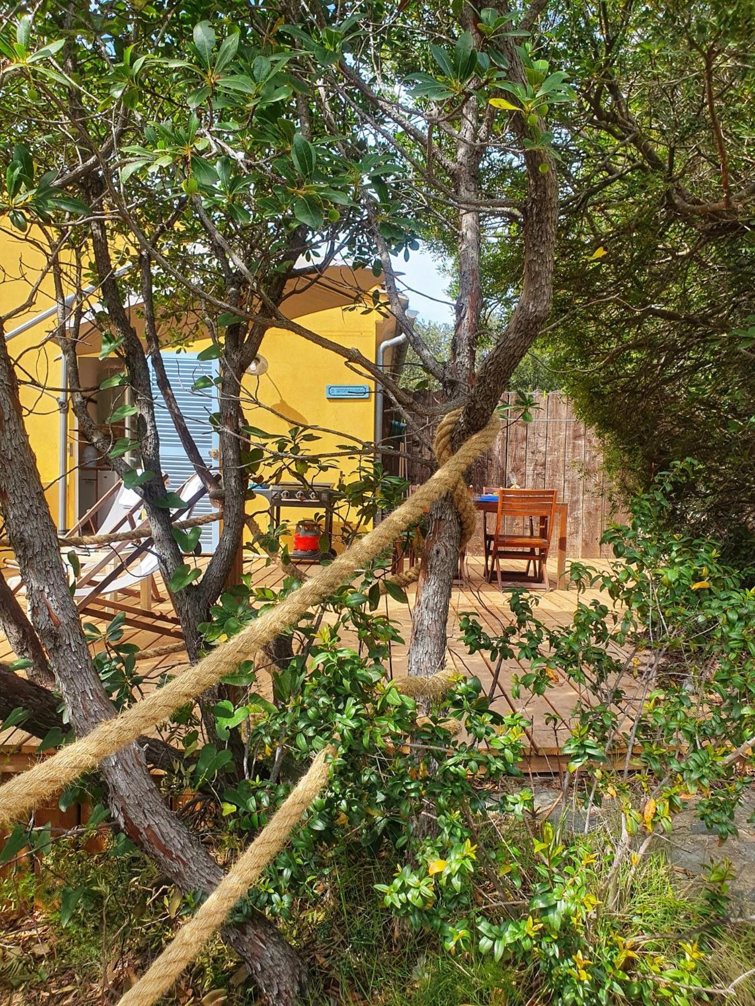 Les Gites Du Cap Corse Nonza Ngoại thất bức ảnh