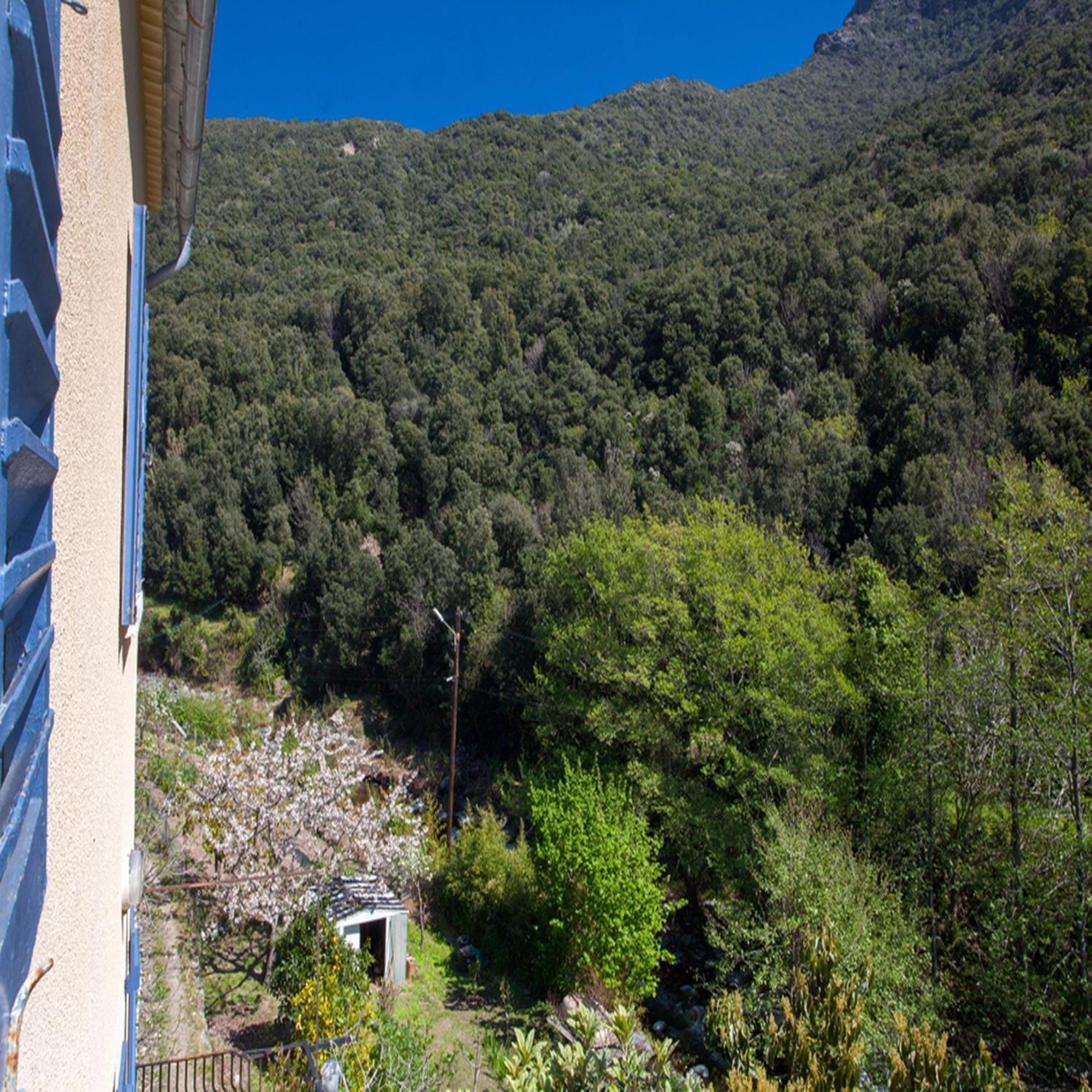 Les Gites Du Cap Corse Nonza Phòng bức ảnh